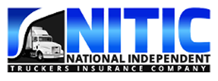 NITIC Logo NITIC Logo